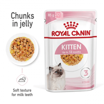 Royal Canin Pouch in Jelly Kitten 85g x12